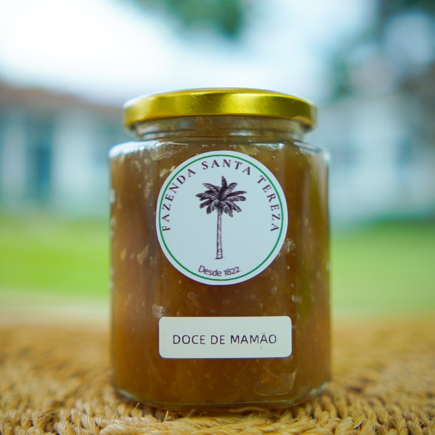 Doce de Mamão com Coco 300g